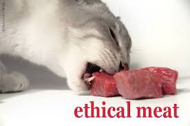 In addition, excess fat has been linked to feline in addition, sausages contain particularly high levels of fat and salt. Meat For Cats An Introduction Tcfeline Raw Cat Food