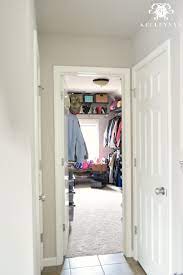 closet with vaulted ceilings