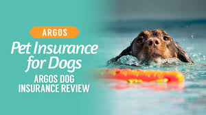 Animal friends insurance is a trading name of animal friends insurance services limited (registered in england #3630812, vat #975288368), authorised and regulated by the financial conduct authority. Argos Pet Insurance For Dogs Argos Dog Insurance Review