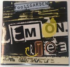 fool s garden lemon tree vinyl records
