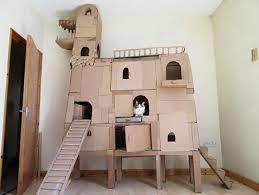 built their cats a cardboard fort