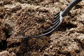 Organic Horse Manure