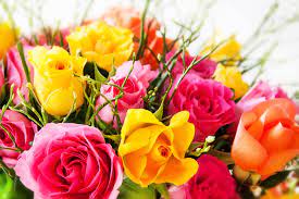Les images de fleurs et les magnifique rose - Accueil | Facebook