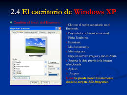 windows xp profesional
