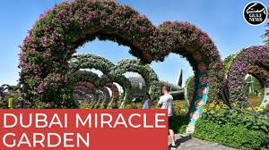 dubai miracle garden inside the world