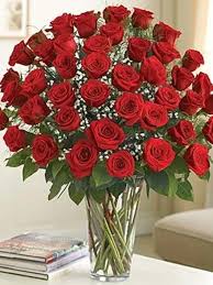 red roses hosanna flowers