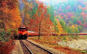 southern usa scenic and herie train
