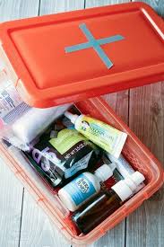 DIY Dog First Aid Kits for Adventurous Pets A Magical Mess