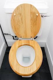 Toilet Seat Material What Are Toilet