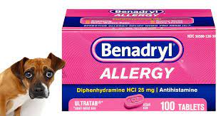 treating dog anxiety with benadryl