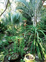 A Tropical Garden In Zone 9 The