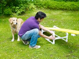 how to build a diy dog agility course