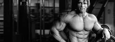 Arnold Schwarzenegger Bodybuilding Secrets Decoding The