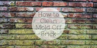 How To Clean Mold Off Brick Complete