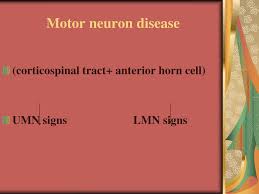 ppt motor neuron disease powerpoint