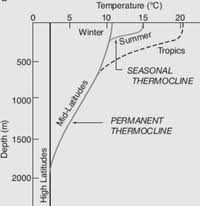 Thermocline Wikipedia