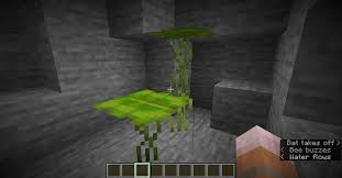 Small Dripleaf In Minecraft 1 17 Caves