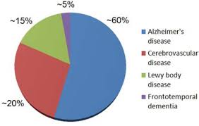 Distribution Of The Major Age Related Neurodegenerative