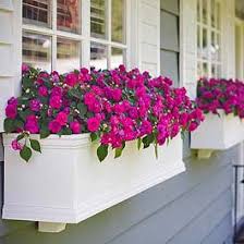 We did not find results for: Window Box Ideas Pictures Of Window Boxes And Flower Boxes