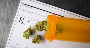 Browse and explore florida laws and rules only with allwealthinfo.com! Florida Marijuana Laws On Using A Prescribed Card To Sell To Others Avera Smith