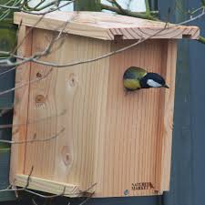 construire des nichoirs pour oiseaux