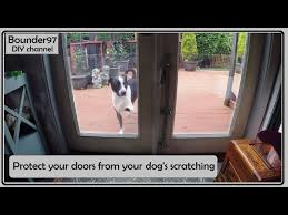 Screen Door From Your Pets Diy