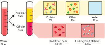 molecular composition of whole blood