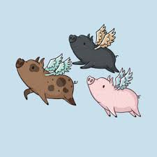 Image result for pigs flying