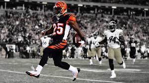 free cincinnati bengals