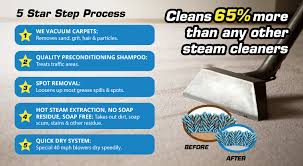chula vista carpet cleaning stain