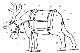When people talk about reindeer, they mostly visualize rudolph and his friends pulling the santa's sleigh. Free Printable Reindeer Coloring Pages For Kids