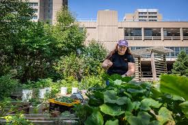 Gardens And Composting Keep Uwm On