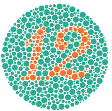 Colour Vision Testing And Employment Colour Blindness