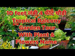 Balcony Garden Tour India Tropical