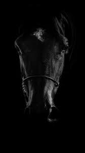 Black Horse iPhone Wallpapers - Top ...