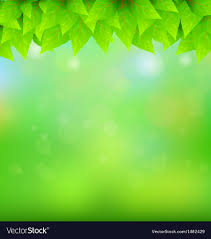 natural green background royalty free