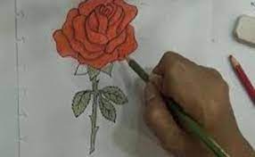Gambar mewarnai bunga sangat identik dengan anak perempuan. Cara Menggambar Bunga Mawar Dengan Pensil Cute766