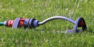 Drought Damaged Lawn Repair Guide