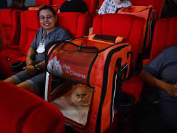 pets for s at thailand s i pet cinema