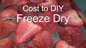 With a home freeze dryer, you will be prepared for any kind of emergency. Freeze Dried Strawberries And Costs In A Harvest Right Home Freeze Dryer Youtube