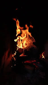 Fire Fireplace Vertical Stock Footage