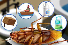 how to get rid of sewer roaches in your