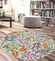 round carpets for living room