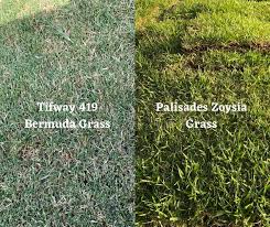 It's also worth pointing out that an individual pallet of sod from home depot covers 500 square feet. Should You Pick Bermuda Grass Or Zoysia Grass Sod Houston Grass