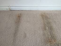 why carpet smells after cleaning