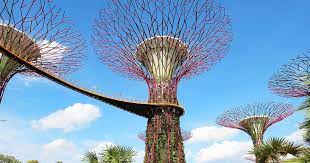 gardens by the bay ticket singapore