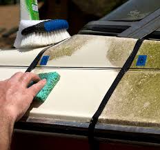 boat carpet rug cleaning services