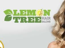 lemon tree hair salon lawton lawton