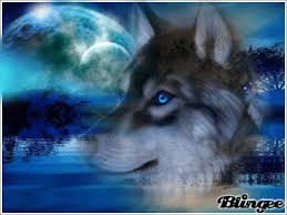 See more ideas about cartoon wolf, anime wolf, wolf art. Creepypasta Zodiac What Wolf Are You Wattpad