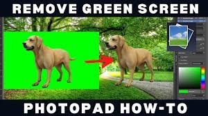 remove green screen photopad tutorial